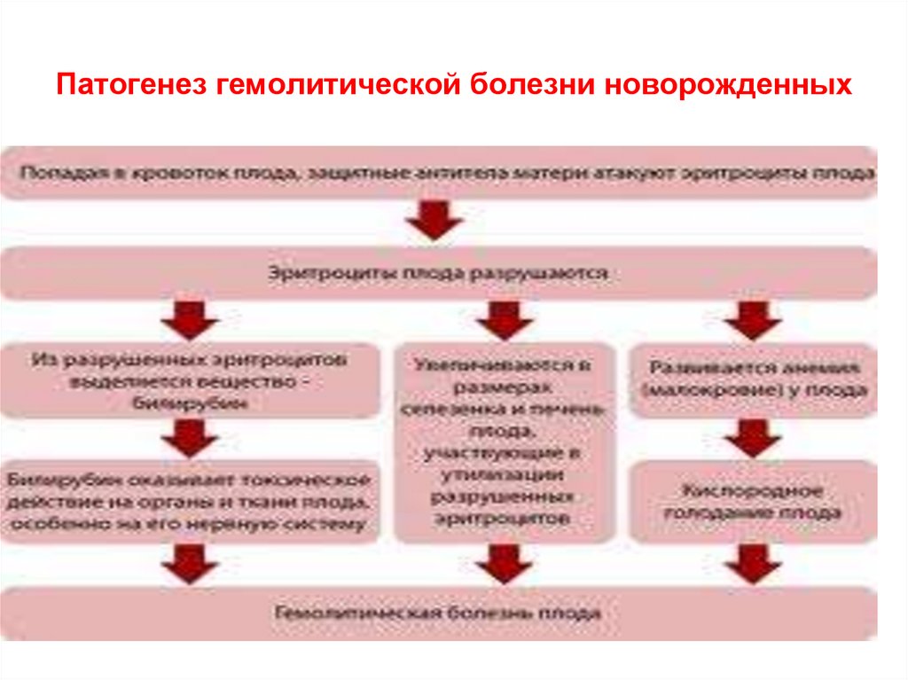 2 картина крови при гемолитической болезни новорожденных