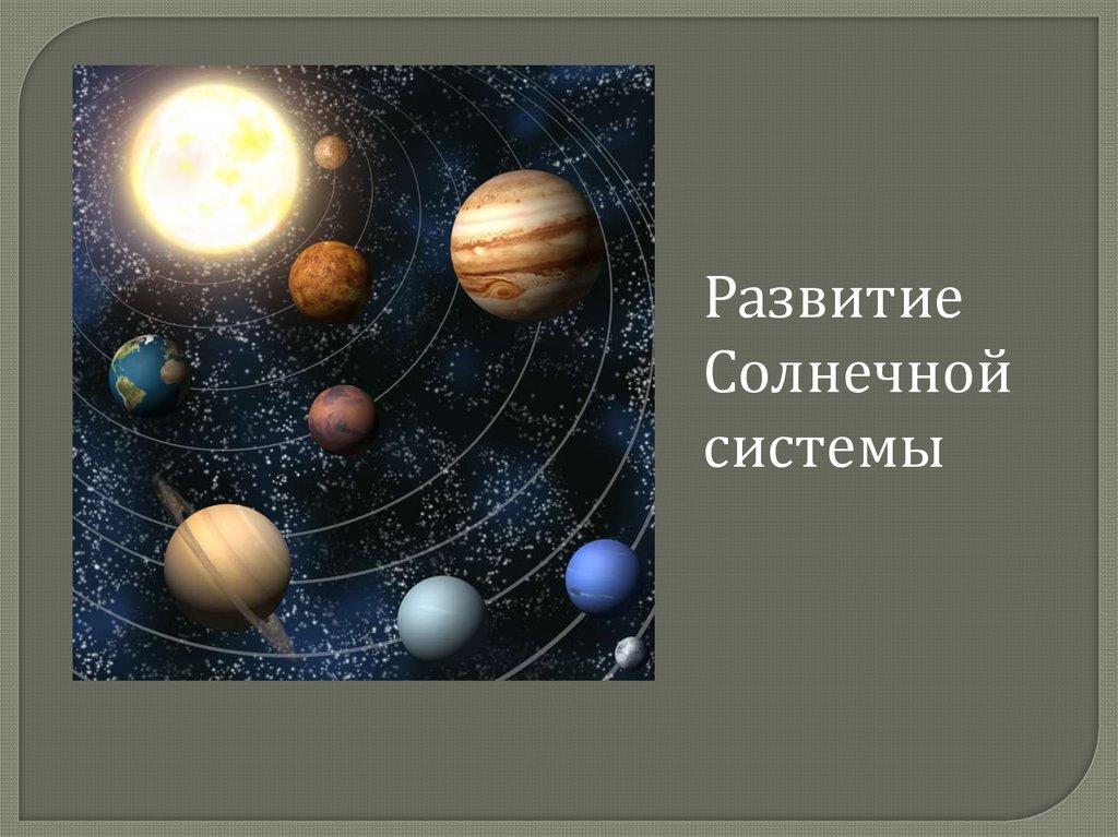 В чем отличие живого от неживого в структурном плане