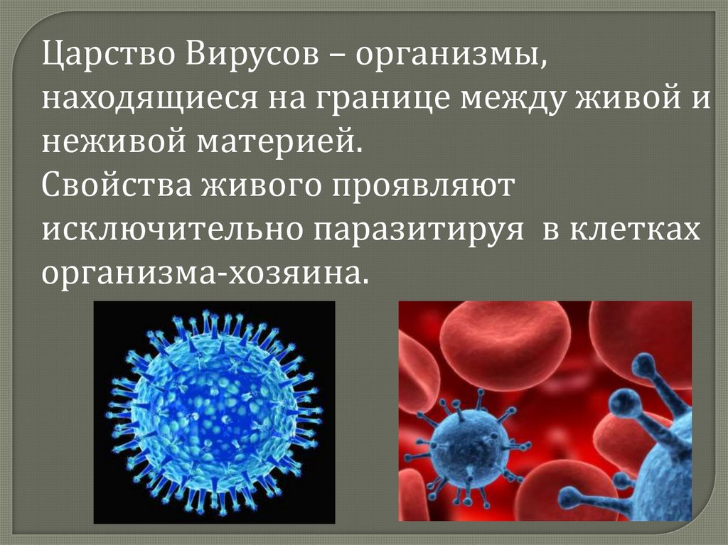 Вирусы живые или неживые