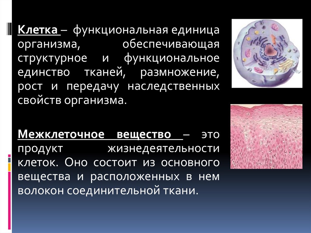 Функциональная единица организма. Структурно-функциональная единица организма. Клетка функциональная единица организма. Структурно-функциональные единицы органов и тканей. Функциональная единица ткани.