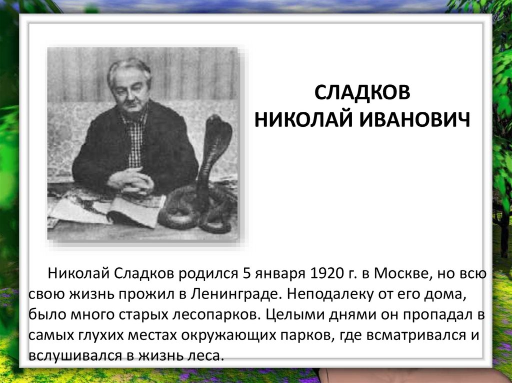 Н сладков биография для детей 2 класса презентация