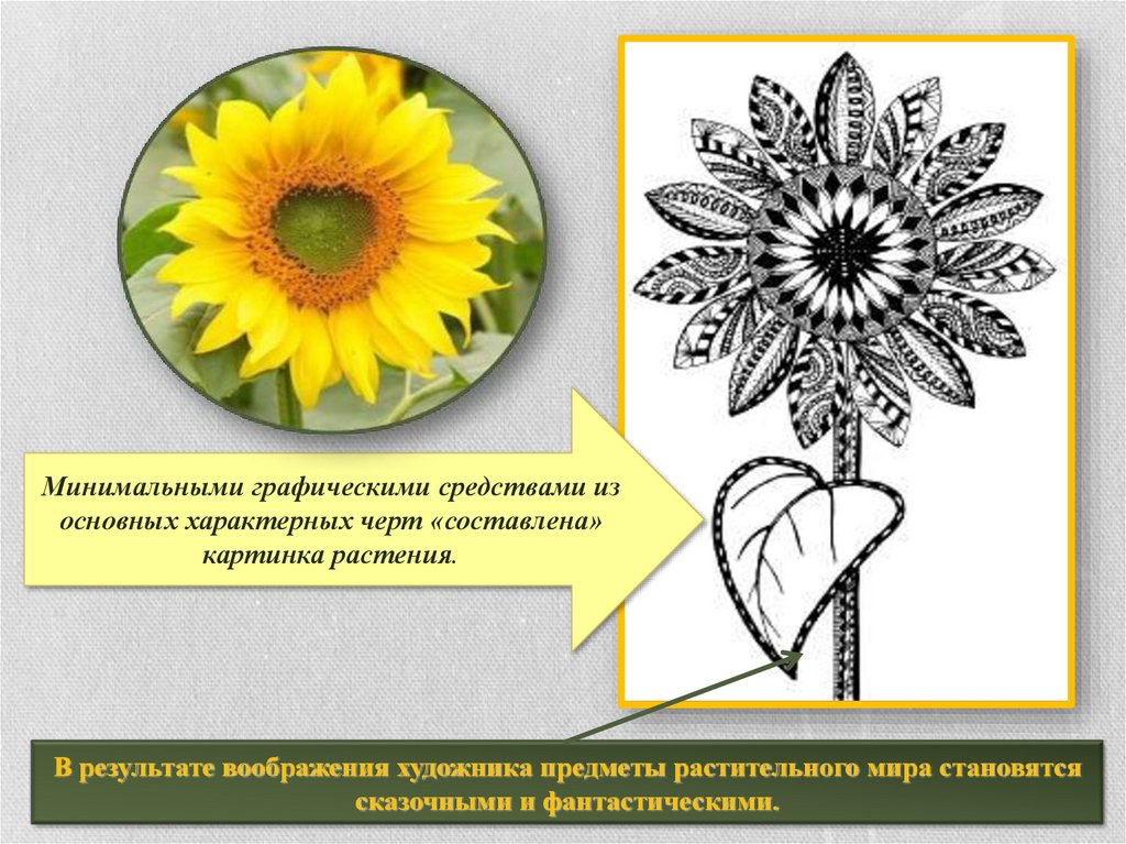 Минимальная графическая. Цветок по изо 5 класс. Презентация по изо 5 класс цветы. Декоративный цветок 5 класс. Декоративный цветок 5 класс изо.