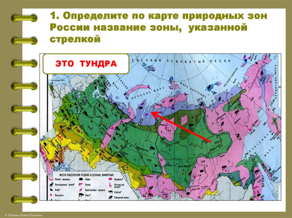 Укажите природную зону в которой можно встретить. Карта природных зон России 4 класс окружающий мир. Карта природные зоны России 4 класс окружающий мир для ВПР. Карта природных зон России 4 класс ВПР.