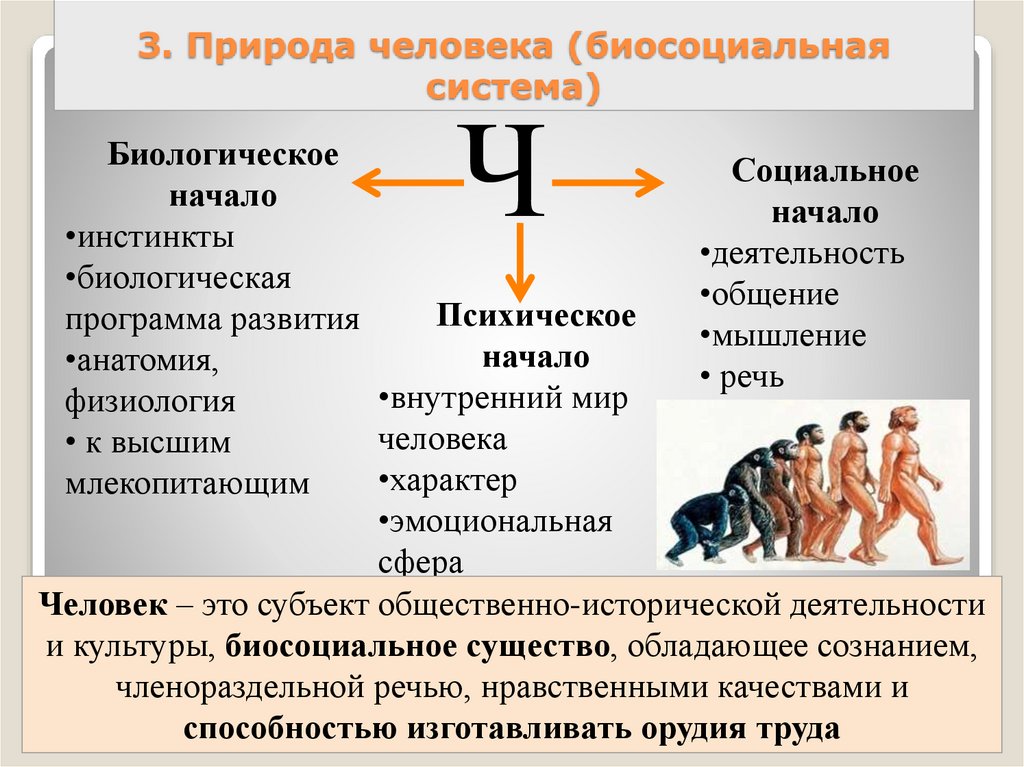 План по теме биосоциальная природа человека