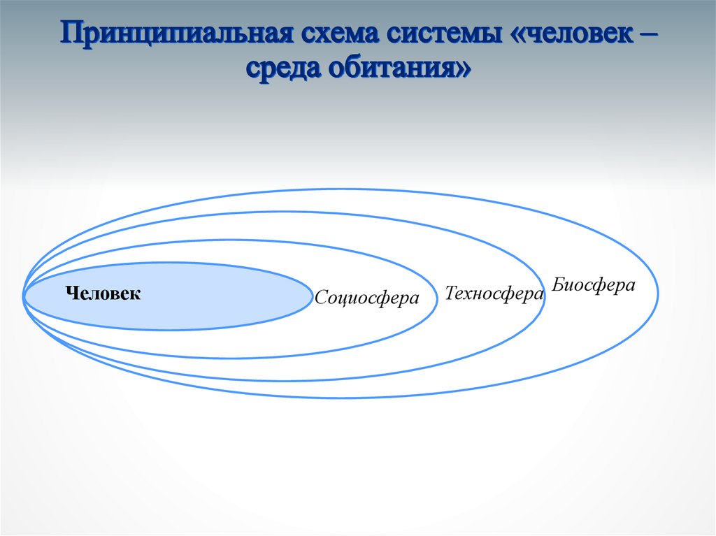 Человек среда обитания схема