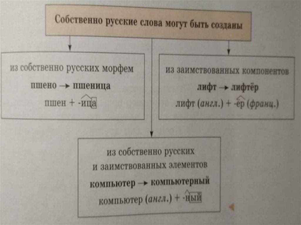 Старославянизмы и их роль в развитии русского литературного языка 8 класс презентация