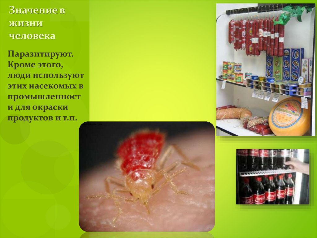 Значение в жизни человека