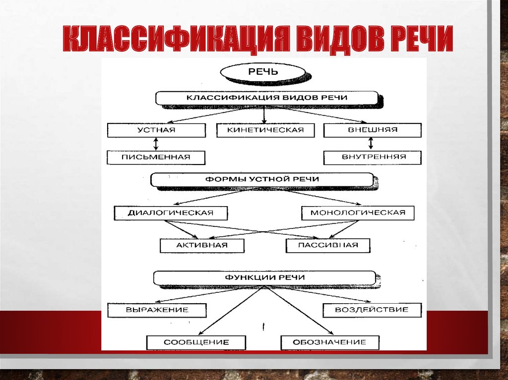 Особенности речи презентация