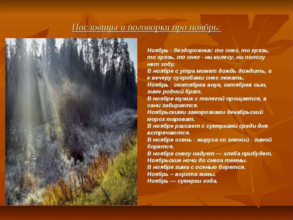 Песни про ноябрь месяц. Приметы ноября. Стихи про ноябрь. Пословицы и поговорки о нояб. Пословицы про ноябрь.