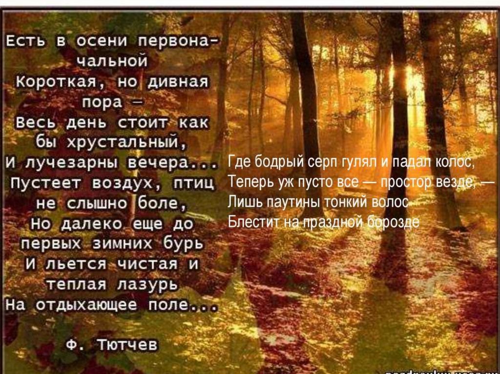 Осенний лес стих. Картины осени со стихами. Красивые осенние картинки со стихами. Красивое стихотворение про осень короткое. Стих про ноябрь короткий.