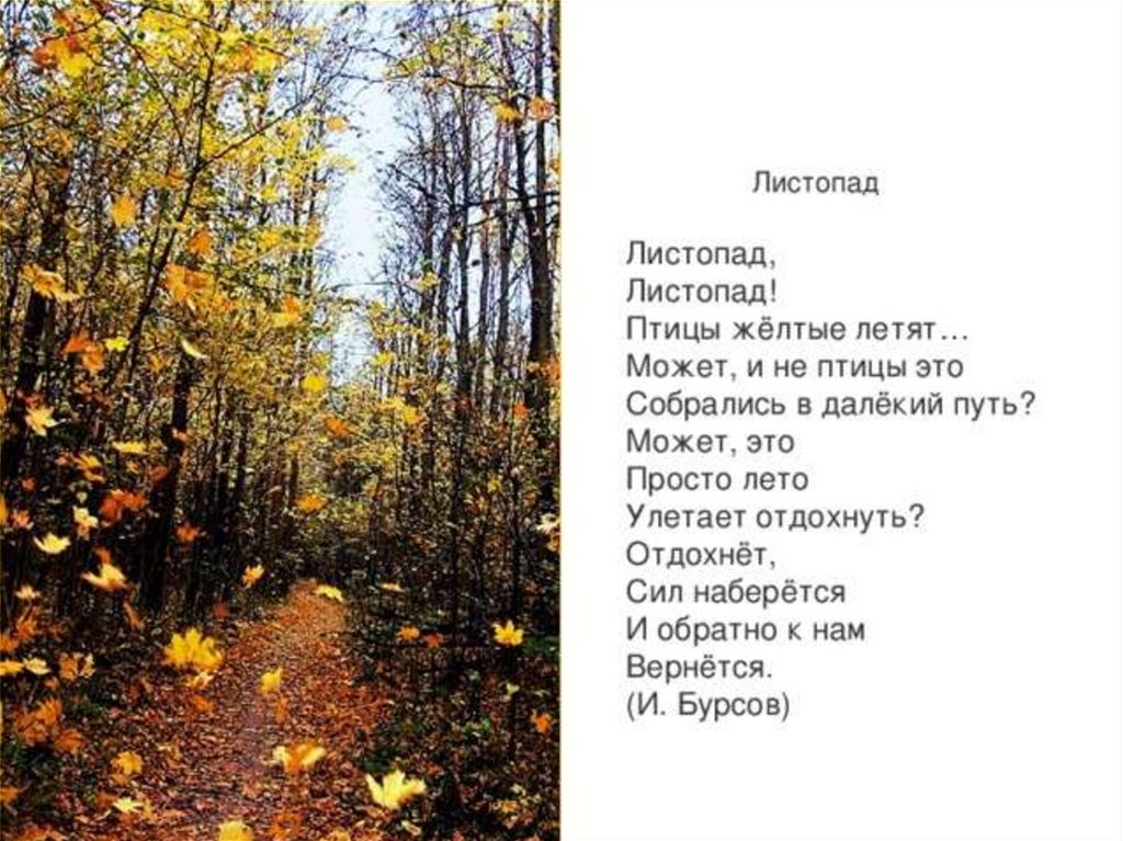 Текст тихо вокруг. Стих листопад. Стихи про осень листопад. Стих листопад листопад. Осенний листопад стихи.