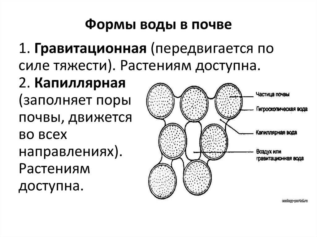 Группа обмен растениями