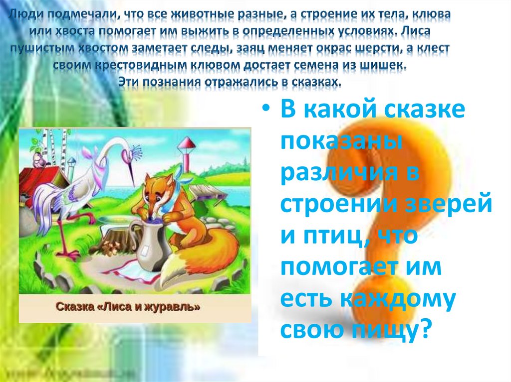Люди подмечали, что все животные разные, а строение их тела, клюва или хвоста помогает им выжить в определенных условиях. Лиса