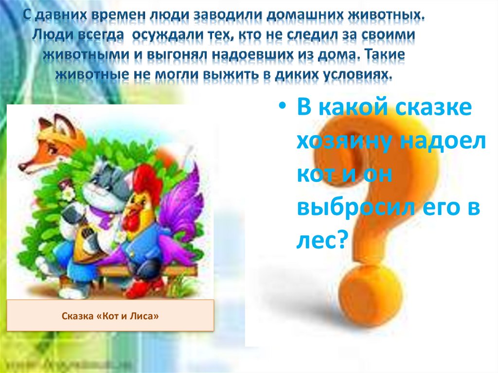 С давних времен люди заводили домашних животных. Люди всегда осуждали тех, кто не следил за своими животными и выгонял