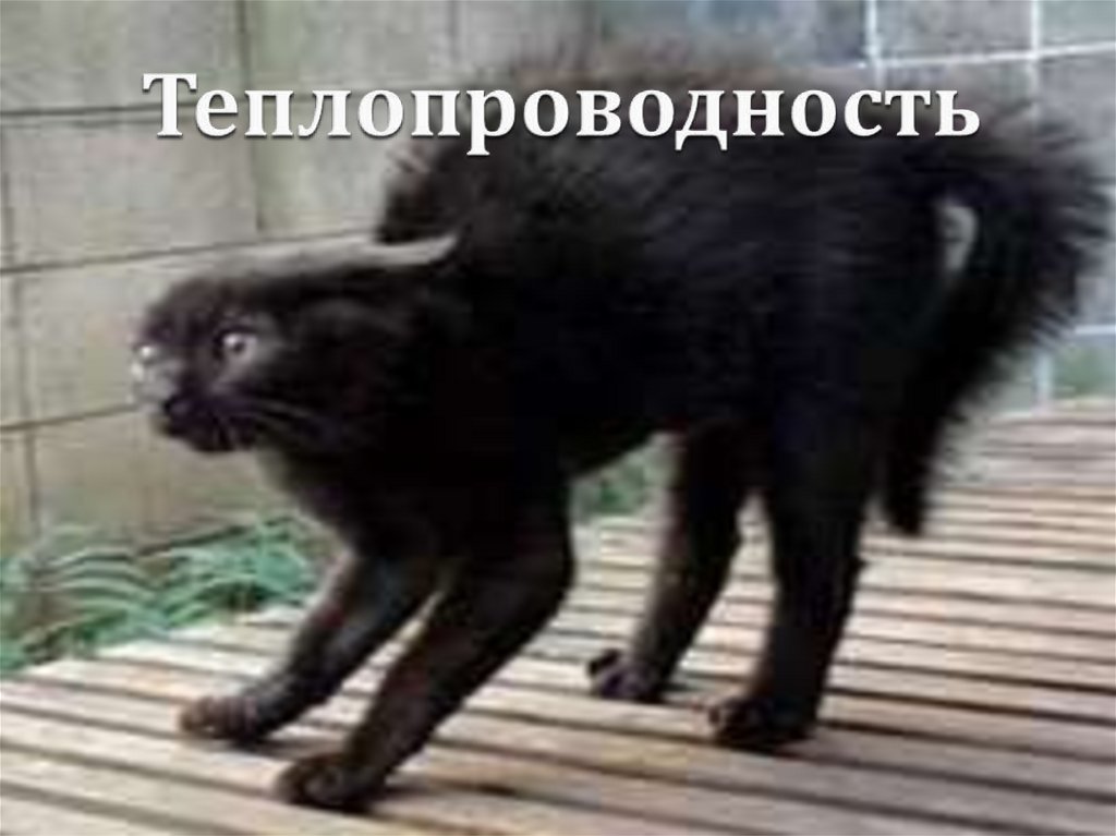 Теплопроводность