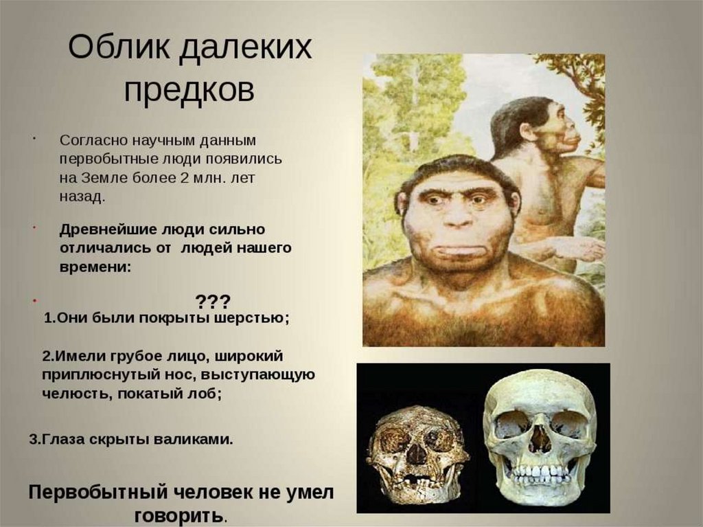 Непосредственные предки современного человека