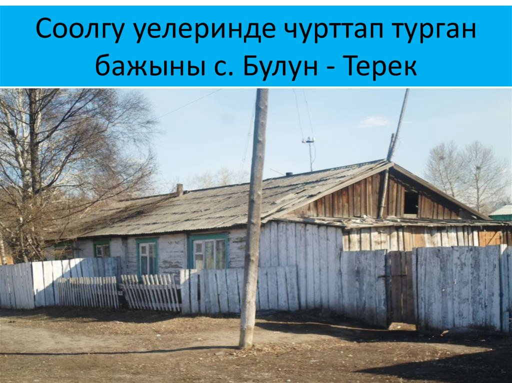 Тыва эки турачылар фото