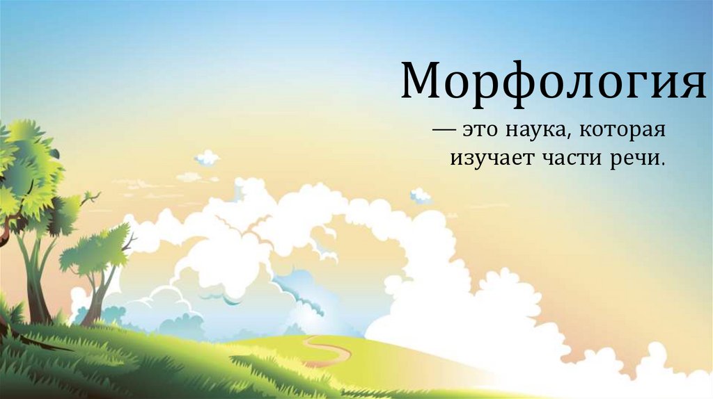 Город морфология рисунок