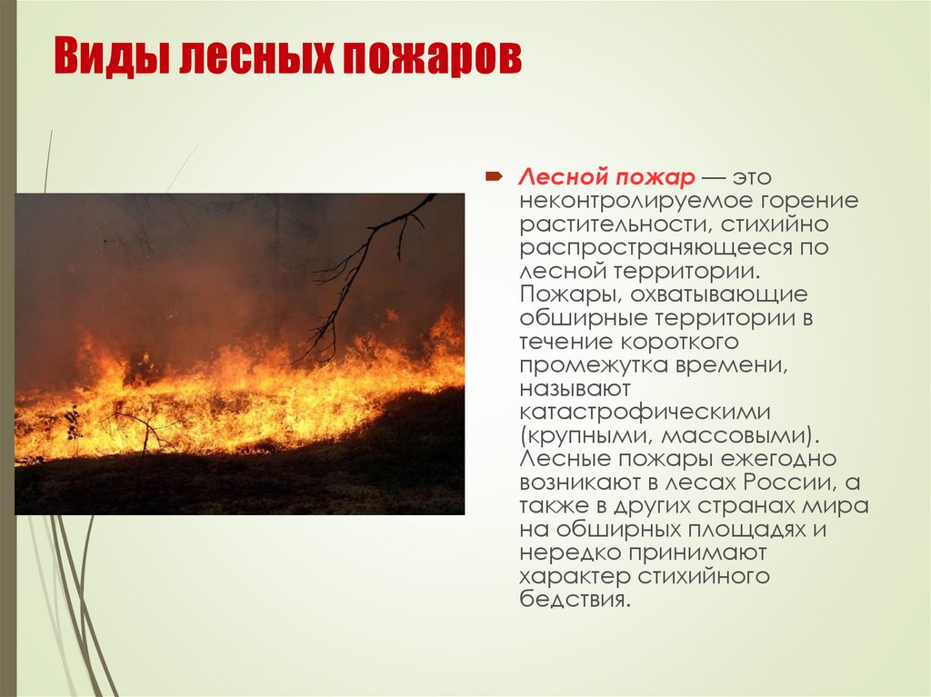 Каковы основные причины лесных пожаров. Виды пожаров. Лесные пожары. Пожар виды пожаров. Лесные пожары описать.