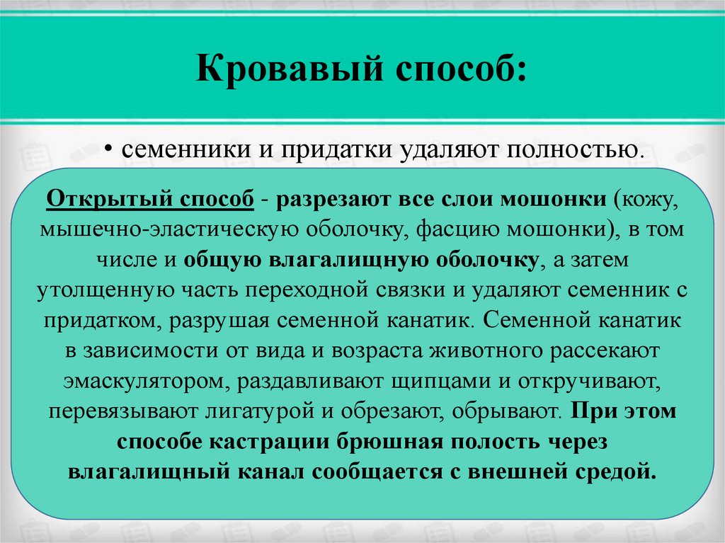 Презентация кастрация сельскохозяйственных животных