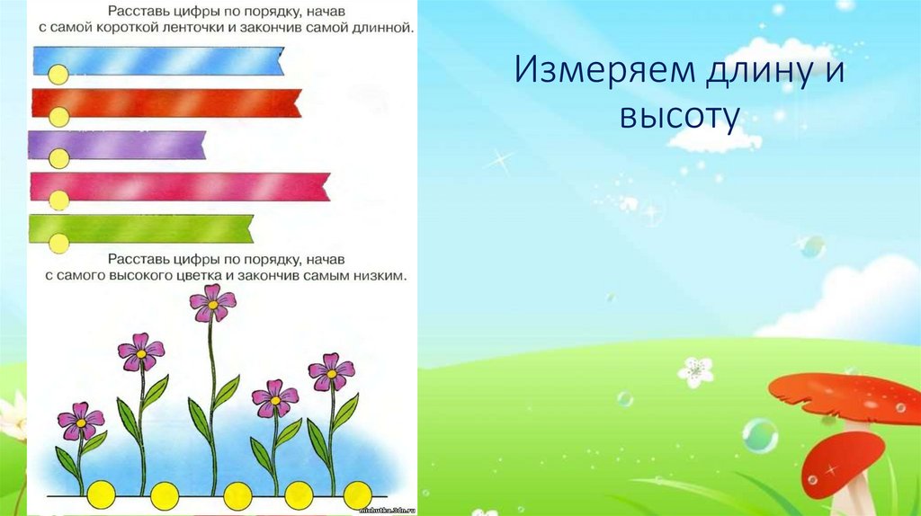 Измеряем длину и высоту