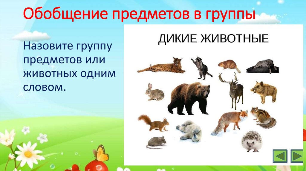 Обобщение предметов в группы