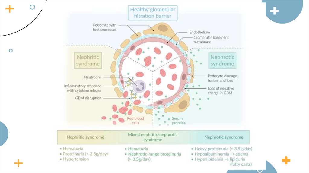 CONTENTS OF THIS TEMPLATE