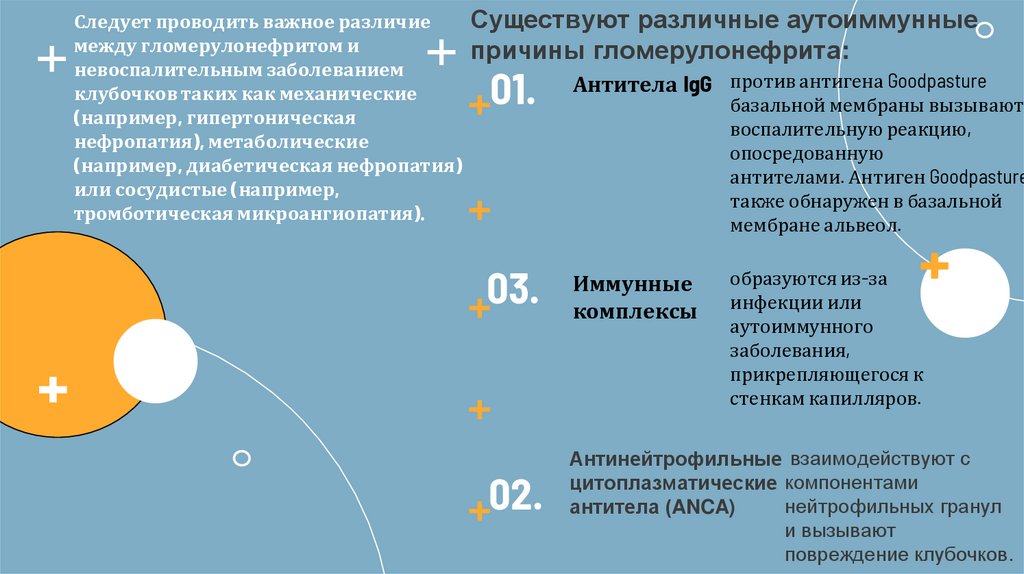 Следует проводить важное различие между гломерулонефритом и невоспалительным заболеванием клубочков таких как механические