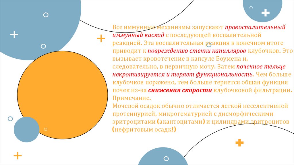 Все иммунные механизмы запускают провоспалительный иммунный каскад с последующей воспалительной реакцией. Эта воспалительная
