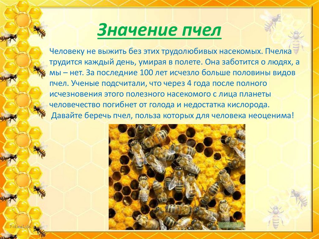 Значение пчел
