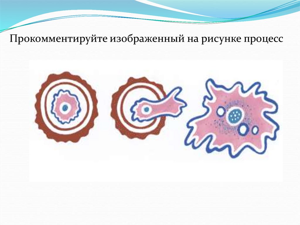 Изображенный на рисунке процесс характерен. Изображенный на рисунке процесс используют. Изображённый на рисунке процесс является фактором. Изображенный на рисунке процесс характеризуется тем что происходит. Единица процесса рисунок.