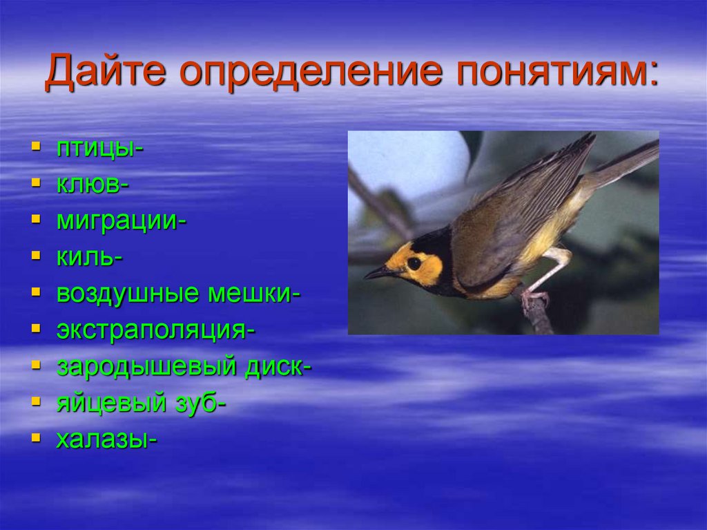 Сезонные явления птиц 7 класс. Сезонные изменения в жизни птиц. Птицы термины. Сезонные явления в жизни птиц. Понимание птиц.