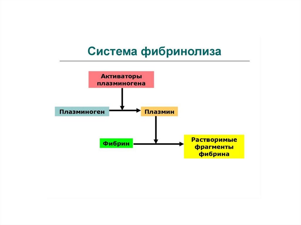 Активаторы фибринолиза. Фибринолитическая система крови схема. Активаторы системы фибринолиза. Внешний и внутренний механизм фибринолиза. Механизмы активации фибринолиза.