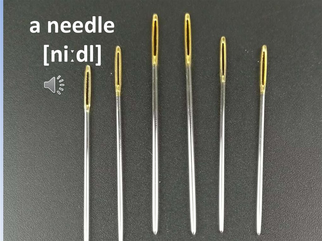 a needle [niːdl]