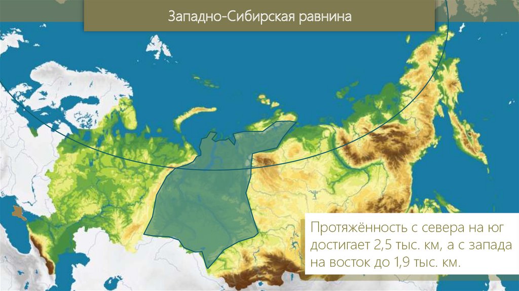 Западно сибирская равнина протянулась. Протяженность Западно сибирской равнины с Запада на Восток. Протяженность Западно сибирской равнины с севера. Протяженность Западно сибирской равнины с севера на Юг. Протяженность Западно сиббирскойтоавнины с Запада намвосток.