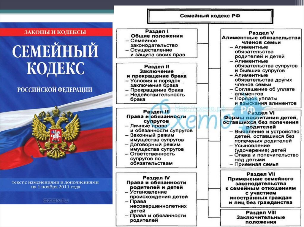 Сколько разделов в кодексе. Разделы семейного кодекса. Основные положения семейного кодекса. Разделы в семйной кодексе.