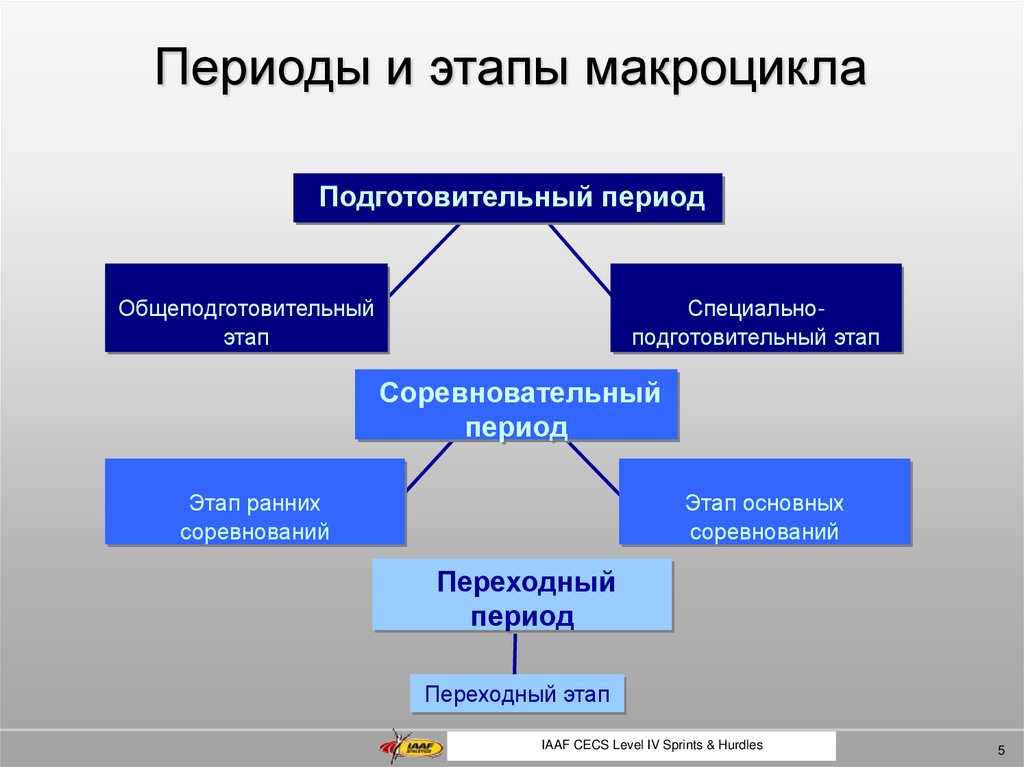 Период этапы. Этап и период макроцикла. Этапы макроцикла. Этапы подготовки в макроцикле. Этапы подготовительного периода в спорте.