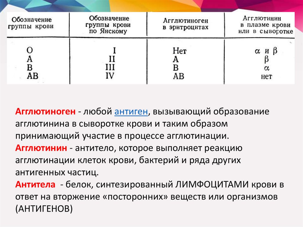 Таблица агглютининов и агглютиногенов. Таблица агглютининов и агглютиногенов