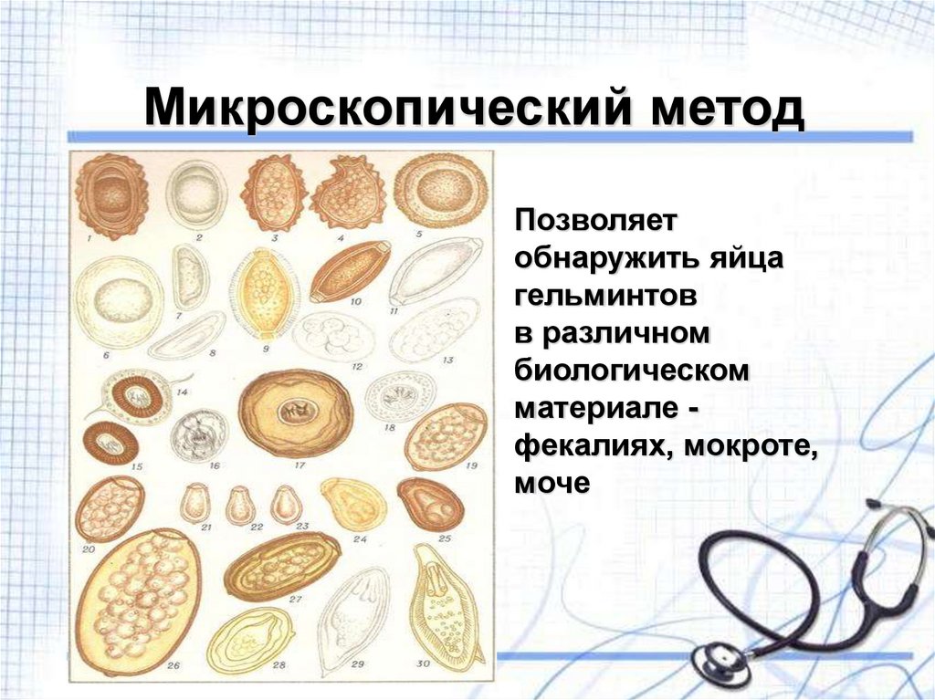 Клиническая паразитология: протозоозы и гельминтозы (иллюстрации). Яйца гельминтов и протозоозы. Тропические протозоозы. Купить яйца глист