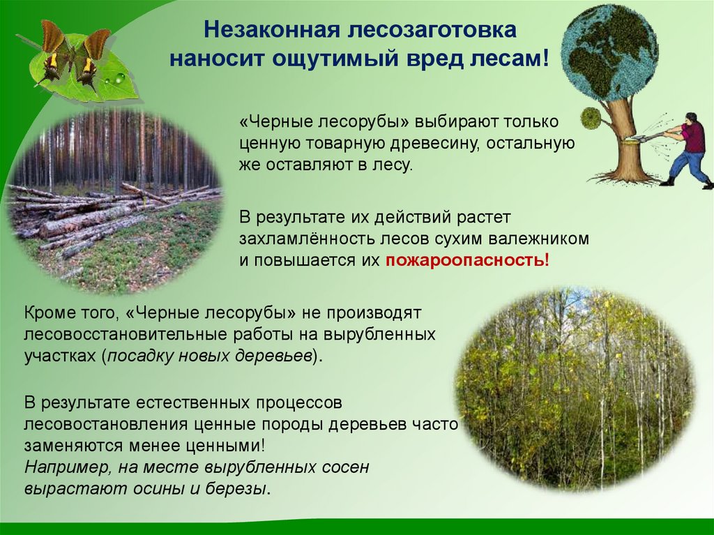 Охрана леса от вырубки. Меры по предотвращению вырубки лесов. Презентация на тему лес. Сохранение лесов. Вред лесу.