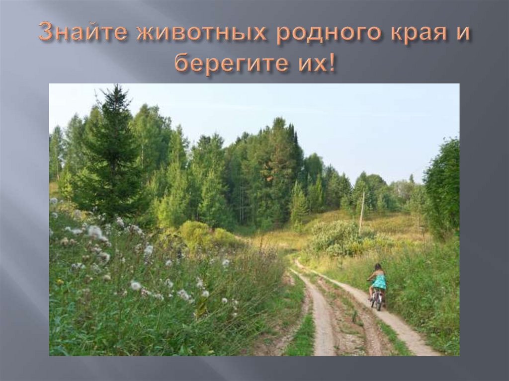 Знайте животных родного края и берегите их!