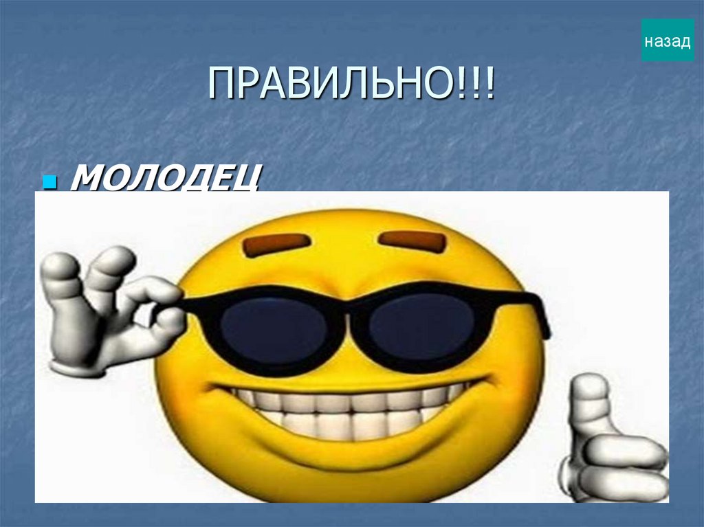 ПРАВИЛЬНО!!!