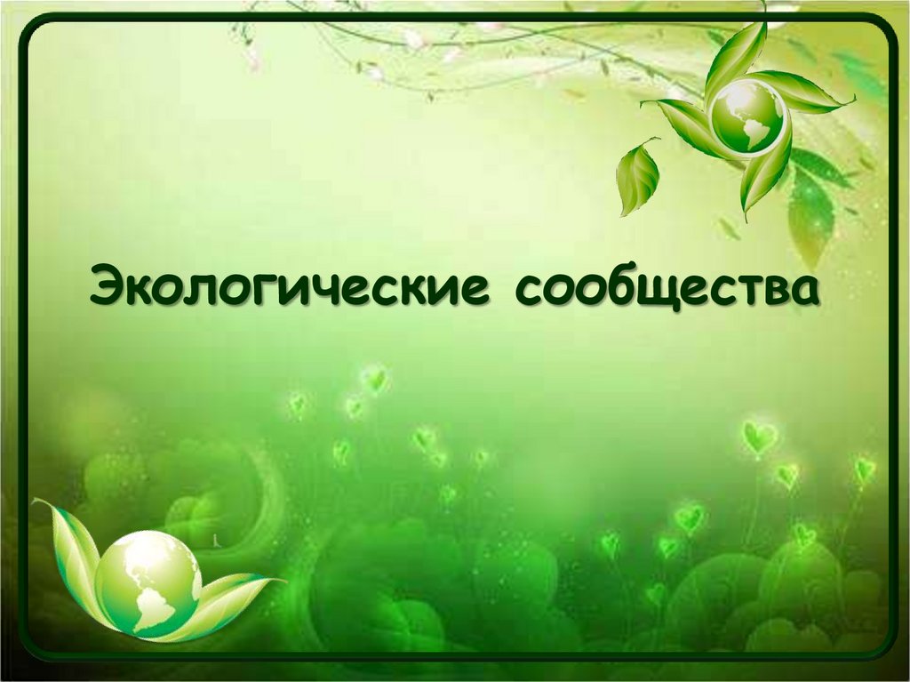 Экологические сообщества презентация 11 класс биология