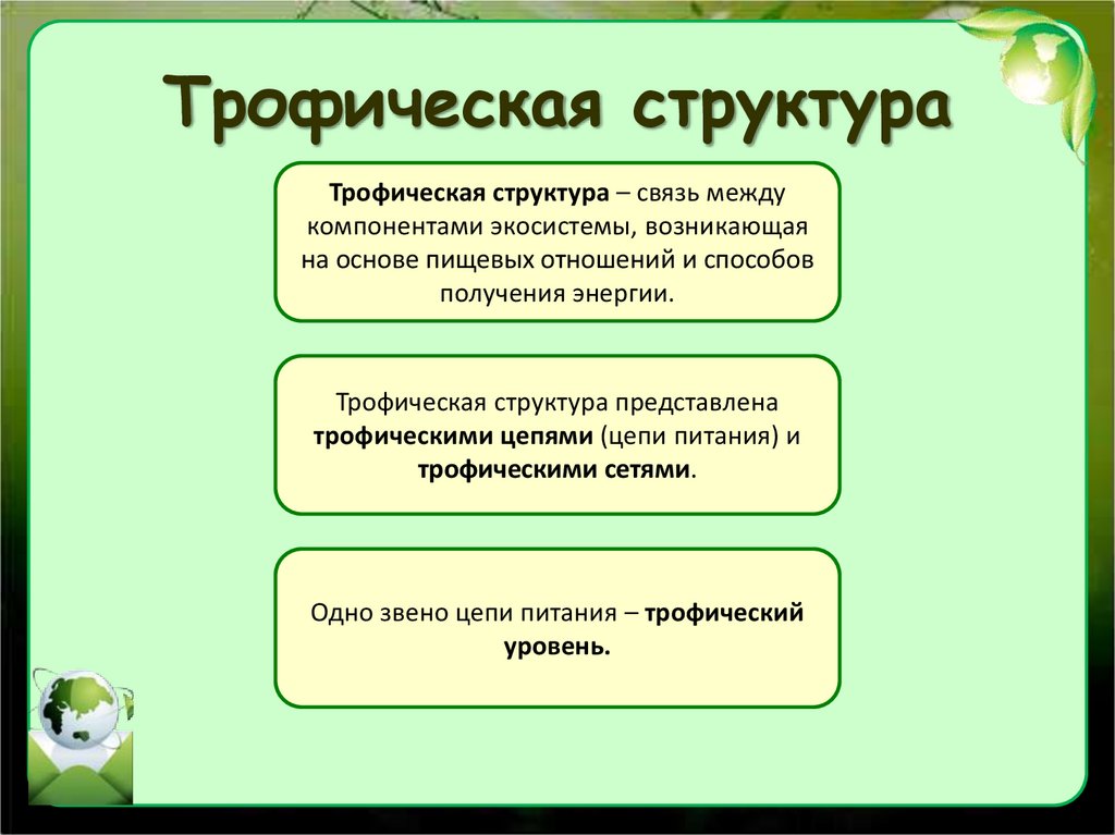 Трофическая структура экосистемы презентация