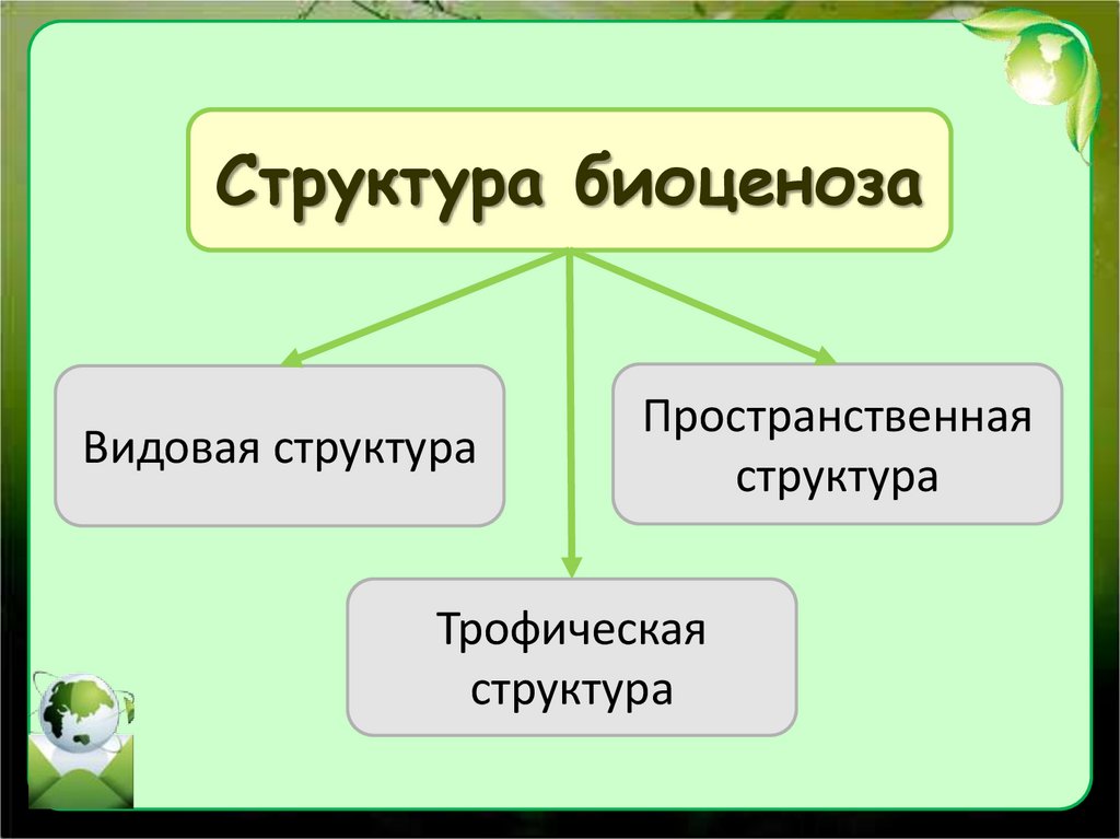 Структура биоценоза схема