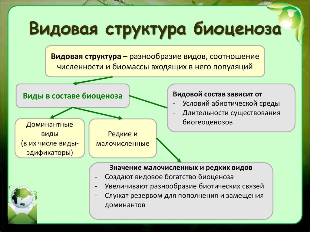 Видовое разнообразие презентация