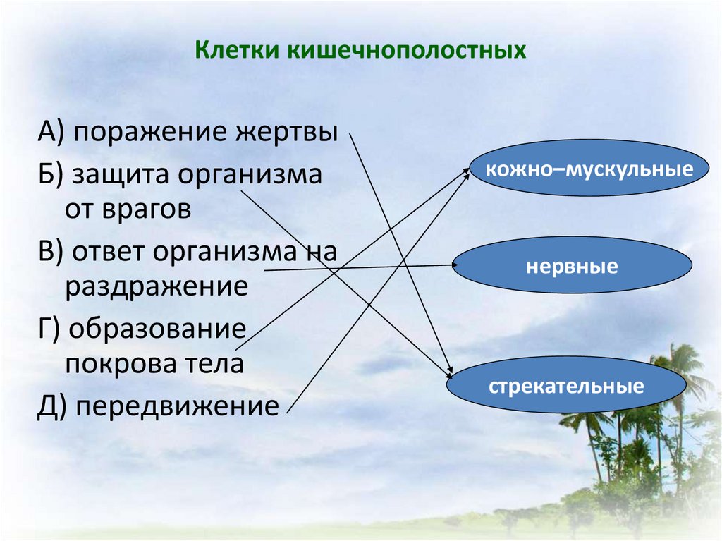 Со смены хозяина происходит развитие