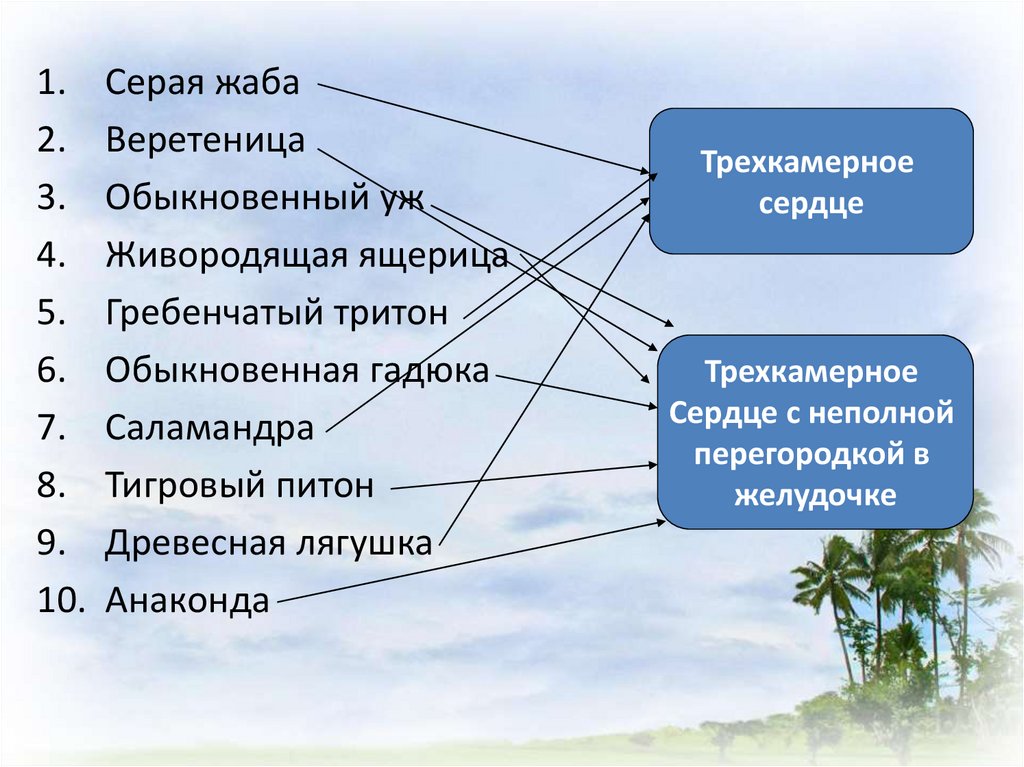 Зоология тест егэ биология