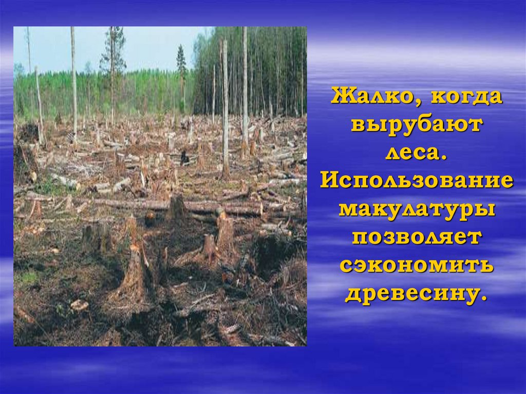 Жалко, когда вырубают леса. Использование макулатуры позволяет сэкономить древесину.