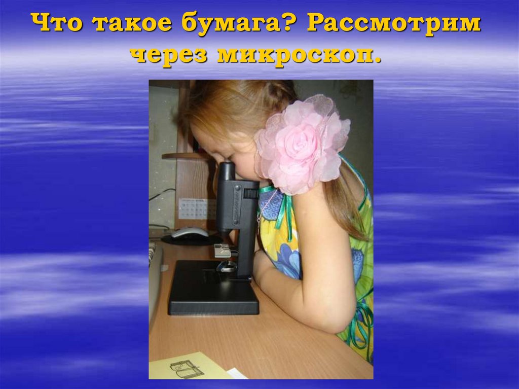 Что такое бумага? Рассмотрим через микроскоп.